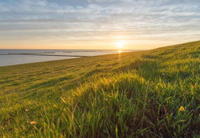 Fr&uuml;hst&uuml;ck am Deich &ndash; Wadden Sea Day 