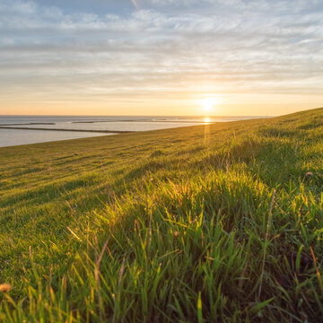 Fr&uuml;hst&uuml;ck am Deich &ndash; Wadden Sea Day 
