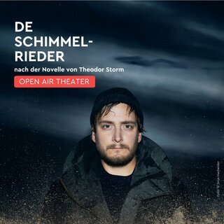 De Schimmelrieder, das offizielle Plakat