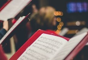 david-beale-gOsGgt4olNs-unsplash