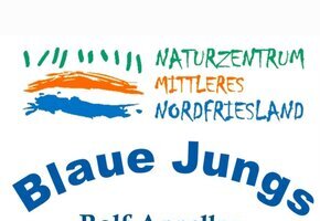 Blaue Jungs Plakat 25