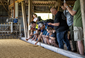 Whisky mit Rückenwind – Deichtour mit Tasting