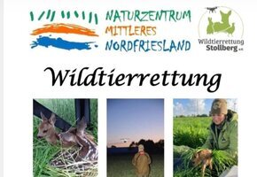 Wildtierrettung 26 