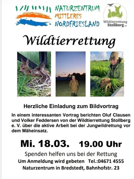 Wildtierrettung 26 