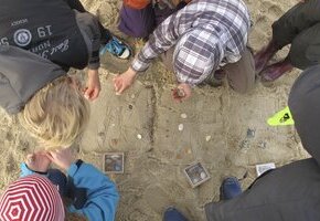 Schnitzeljagd am Strand