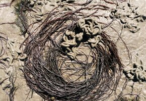 IMG_20230608_145601 Korrektur