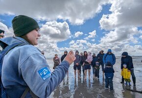 Kleine Wattwanderung auf F&ouml;hr