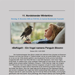 11_Winterkino_Befluegelt