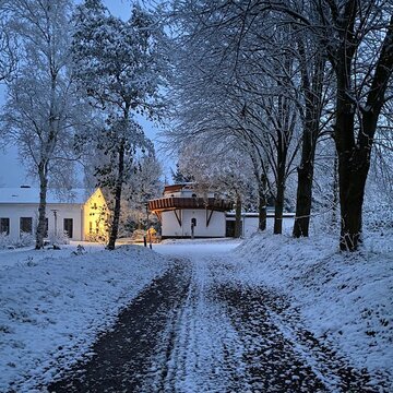 Mikkelberg im Winter
