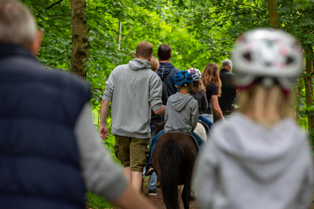 Gef&uuml;hrtes Ponyreiten auf sch&ouml;nem Wiesengel&auml;nde, ca. 20 Min.