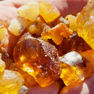 Workshop: Funde an Strand und Sp&uuml;lsaum mit Bernsteinschleifen