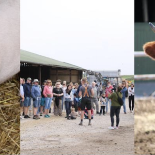 Sommerfest auf dem Hof Martinen