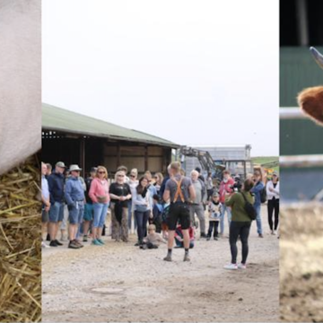 Sommerfest auf dem Hof Martinen