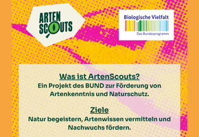 nkm-niebuell_artenscouts-2