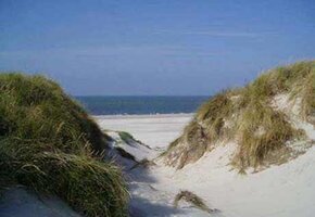 Wenn das Meer gestaltet: Welten aus Sand und Meer