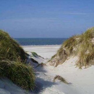 Wenn das Meer gestaltet: Welten aus Sand und Meer