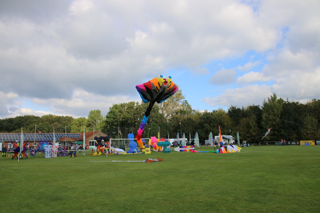 Drachenfest Süderlügum