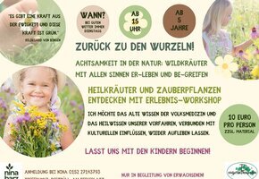 Wildkräuterwanderung mit Kindern
