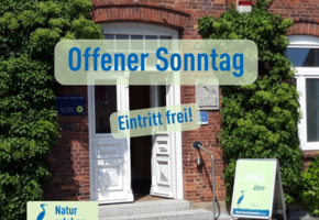 nkm-niebuell_offener-sonntag