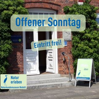 nkm-niebuell_offener-sonntag