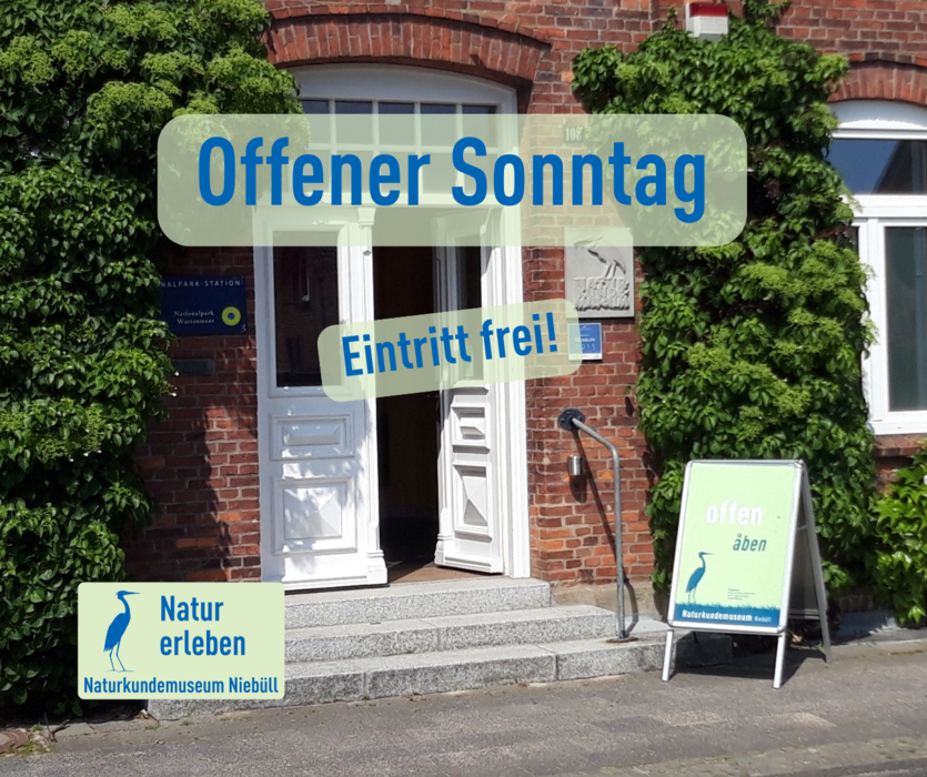 nkm-niebuell_offener-sonntag