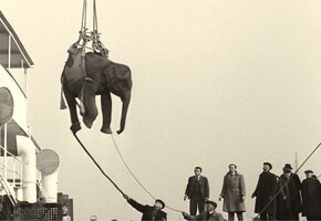 Soundtrack to a Coup d'etat