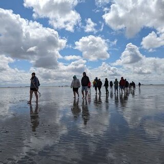 Kleine Wattwanderung auf F&ouml;hr