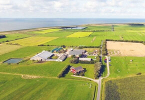 Führung und Tasting zweier Whiskys auf Hinrichsens Farm Distillery
