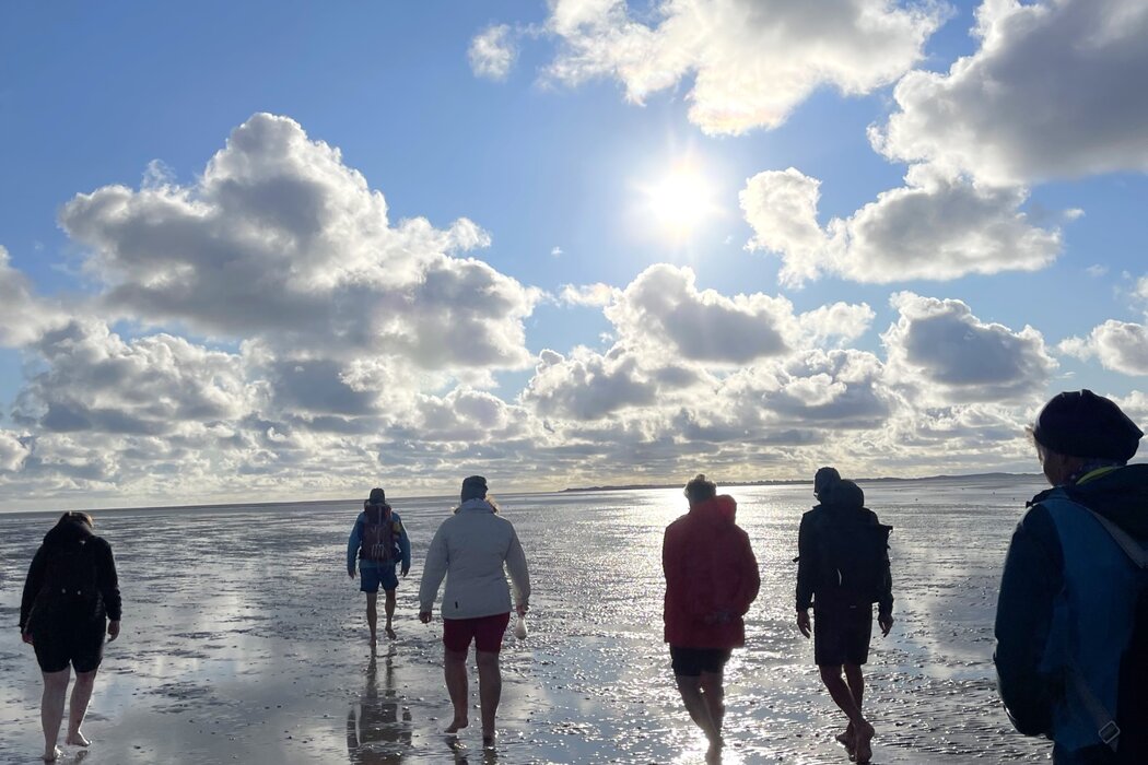 Wattwanderung von F&ouml;hr nach Amrum mit Nationalparkf&uuml;hrer Matthias Hansen
