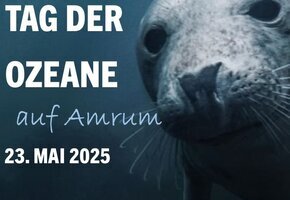Tag der Ozeane auf Amrum