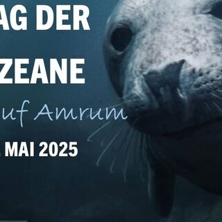Tag der Ozeane auf Amrum