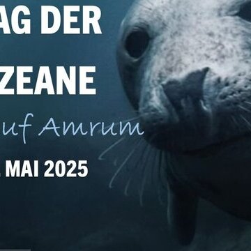 Tag der Ozeane auf Amrum