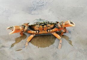 IMG_20210626_095606 Korrektur