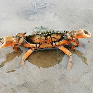 IMG_20210626_095606 Korrektur