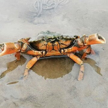 IMG_20210626_095606 Korrektur