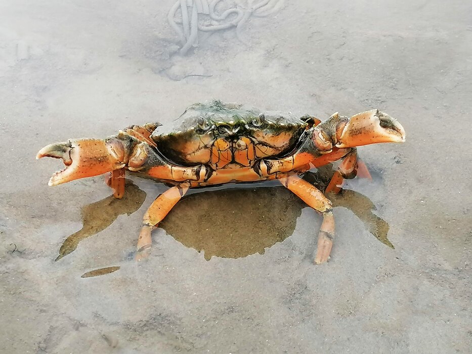 IMG_20210626_095606 Korrektur