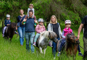 Gef&uuml;hrtes Ponyreiten auf sch&ouml;nem Wiesengel&auml;nde, ca. 20 Min.