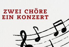Sommerkonzert in Viöl