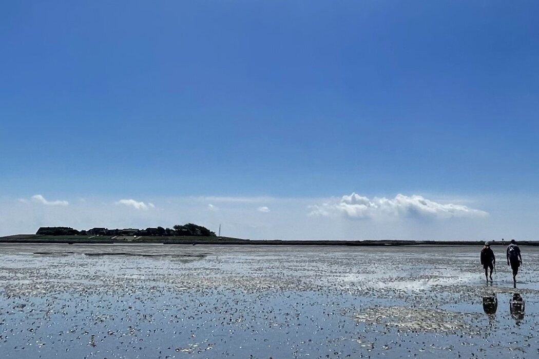Wattwanderung Oland und Langeneß – Die traumhafte 2-Hallig Tour mit Nationalparkführer Matthias Hansen
