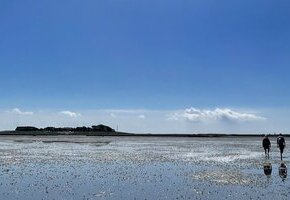 Wattwanderung Oland und Langeneß – Die traumhafte 2-Hallig Tour mit Nationalparkführer Matthias Hansen