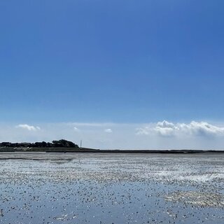 Wattwanderung Oland und Langeneß – Die traumhafte 2-Hallig Tour mit Nationalparkführer Matthias Hansen