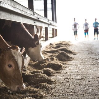 Sommerfest auf dem Hof Martinen