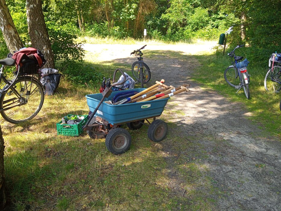 Hilf der Heidehummel 