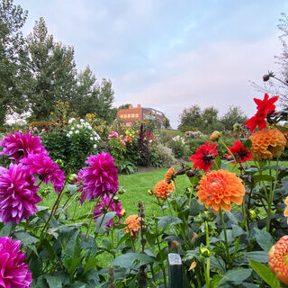 Nolde-Garten, Foto Christine Sieber, © Nolde Stiftung Seebüll