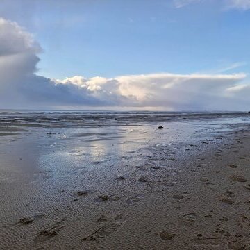 GGE Gruppe F&ouml;hr