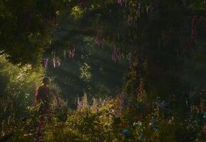 Der Wunderweltenbaum