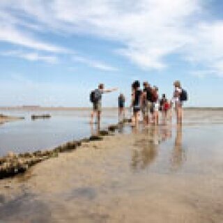 Wattwanderung von F&ouml;hr nach Amrum