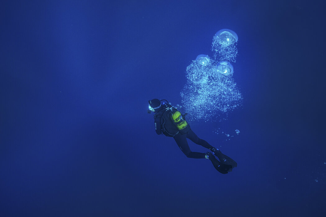 "Wasserwelten - auf Expedition f&uuml;r den Schutz der Meere"