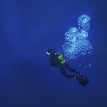 "Wasserwelten - auf Expedition f&uuml;r den Schutz der Meere"