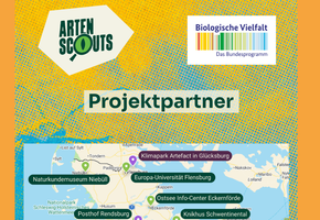 nkm-niebuell_artenscouts-3